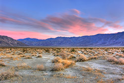 Landscapes