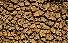 Mud Crack 2 8x10-ib-img0079-2 8x10-001
