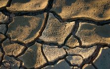 Mud Crack 3 2x3-ib-img0072-001