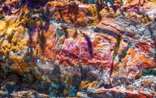 Petrified Artistry 11x14-ib-IMG_3659 5x7-001
