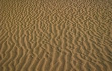 Sand Pattern 8x10-ib-img0171-001