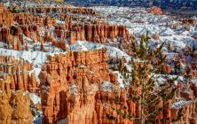 Bryce in Snow 8x10-ib-IMG_2791-2-001