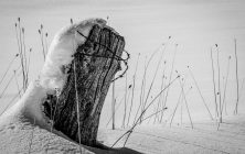 Cold Winter 11x14-ib-IMG_2780-Edit 11x14-001