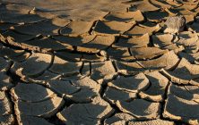 Death Valley Mud Cracks 2x3-ib-img0073-001