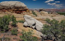 Lost Spring Mesa 2x3-ib-IMG_2401-001