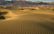 Mesquite Flat Sand Dunes 2 2x3-ib-img0178-2-001