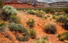 Sand Mountain 2 2x3-ib-IMG_5505-2-001