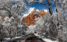 Zion Gateway-ib-137 8x12-001