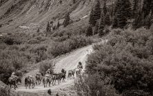 Sepia Pack Train 1 2x3-ib-IMG_9701-001