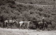 Sepia Pack Train 2 2x3-ib-IMG_9699-001 - Copy