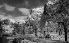 Zion Winter B&W 1 2x3-ib-155-001