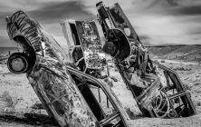 Car Forest 2 16x20-ib-IMG_2521-001