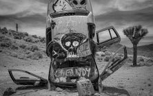 Car Forest 3 16x20-ib-IMG_2525-001