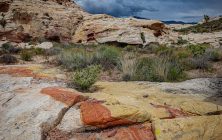 Color Underfoot 16x24-ib-IMG_2166-001