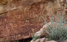 Newspaper Rock 16x24-ib-IMG_2137-001