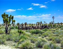 StockMojave-01