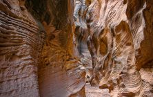Willis Canyon 1 16 x 24-ib-141_4130-001