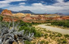Burr Trail 1 2x3-ib-IMG_9480 5x7-001a