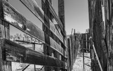 Cattle Chute 11x14-ib-IMG_8017-001a