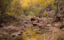 Autumn Reflections 2x3-ib-IMG_3005-Edit-001