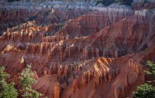 Cedar Breaks Morning 2x3-ib-IMG_2800-2-Edit-001