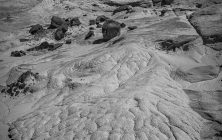Etched 2x3-ib-IMG_3587-001