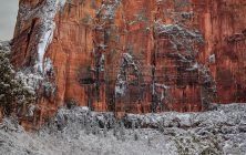 January in Zion 2x3-ib-IMG_3350-001