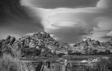Lone Pine Lenticular 2x3-ib-IMG_1434-001