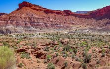 Paria 2x3-ib-IMG_2456-001