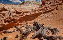 Warped Wood & Sandstone 2x3-ib-IMG_3744-001