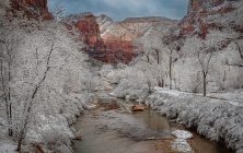 Zion Winter 2 2x3-ib-IMG_3428-Edit-001