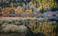 Crystal Lake 2 2x3-ib-IMG_4555-001