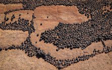Marbles 2x3-ib-IMG_3086-001