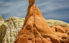 Toadstool 2x3-ib-IMG_5295-2-001