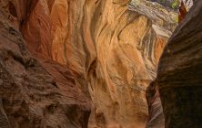 Willis Creek 2 2x3-ib-Ilene Bandringa 60 tall 300dpi 150_5056-art-height-18150px-001