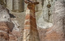 Zebra HooDoo 2x3-ib-IMG_3563-001