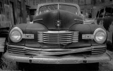 Nash B&W 2x3-ib-IMG_2540-001