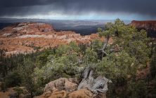 Bryce Storm 2 x 3-ib-IMG_8478-Edit-2-001